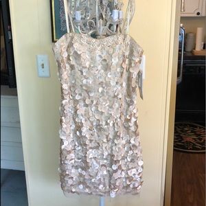Adrianna Pappel dress